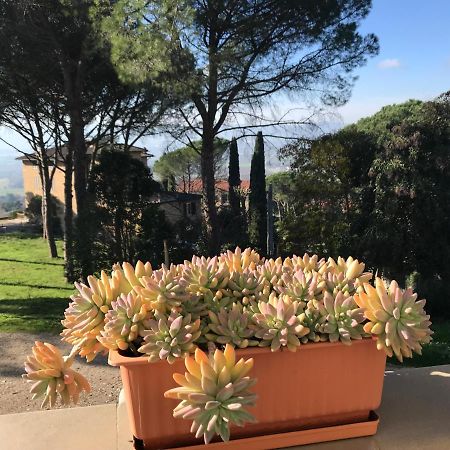Villa Maria Collepepe Bagian luar foto