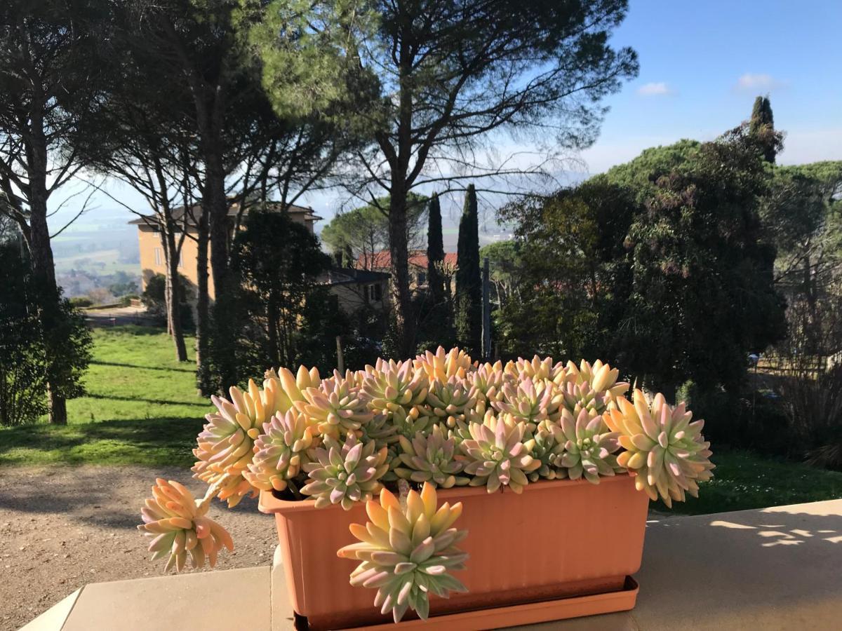 Villa Maria Collepepe Bagian luar foto